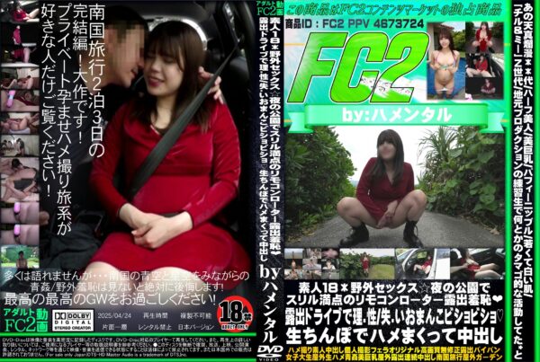 FC2動画 素人18野外セックス☆夜の公園でスリル満点のリモコンローター露出羞恥 露出ドライブで理性失いおまんこビショビショ 生ちんぽでハメまくって中出し
